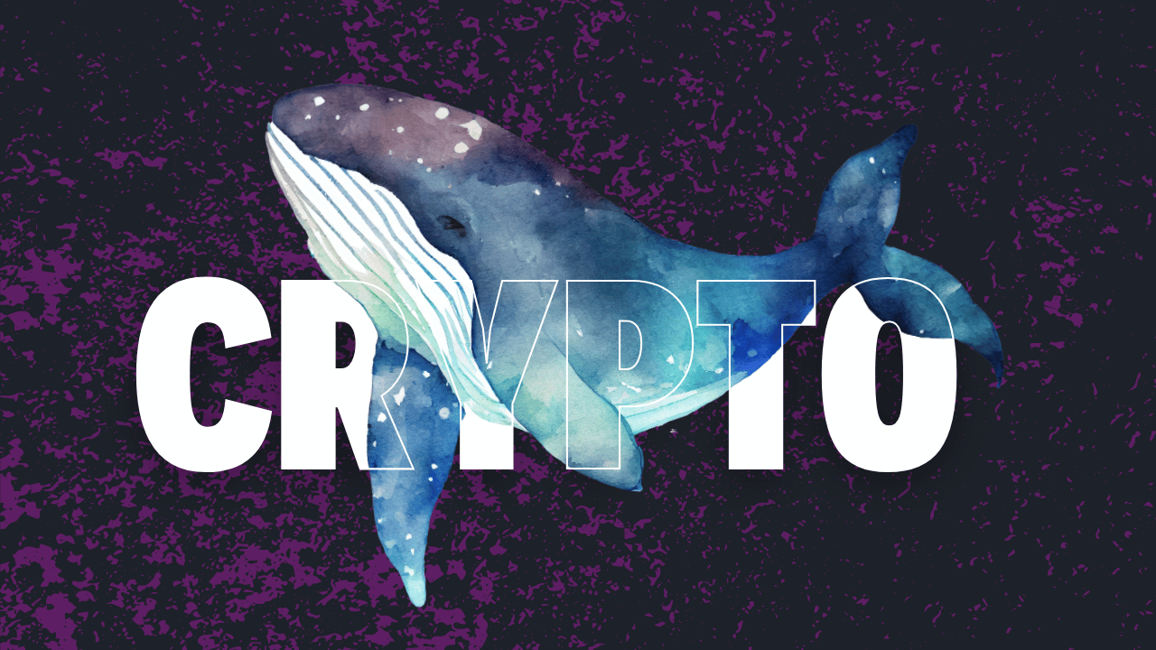 Crypto Whale Strategies